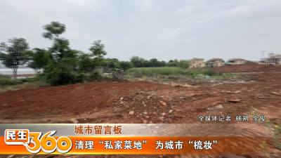 清理“私家菜地” 为城市“梳妆”