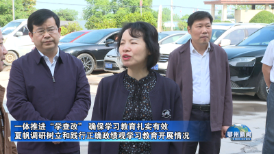 夏帆调研树立和践行正确政绩观学习教育开展情况