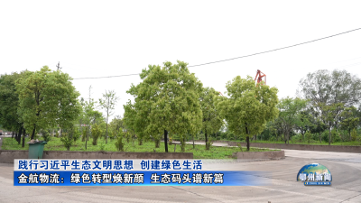 金航物流：绿色转型焕新颜  生态码头谱新篇