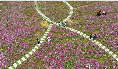 满城芳华·蝶变进行时丨潜江：花开满巷 同心润城