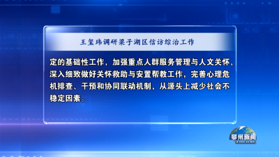 王玺玮调研梁子湖区信访综治工作