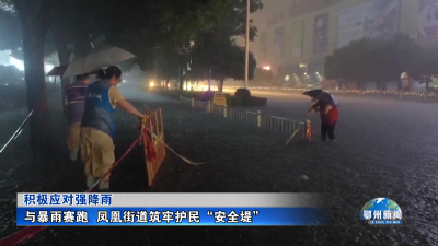 与暴雨赛跑  凤凰街道筑牢护民“安全堤”