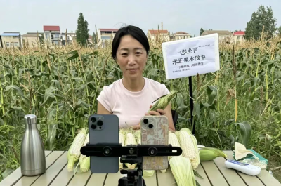 她把仙桃这些农副产品推向全国