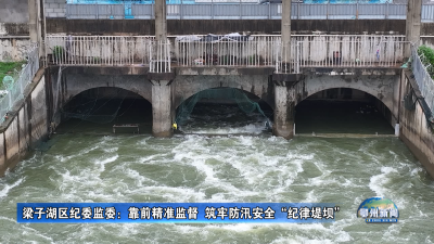 梁子湖区纪委监委：靠前精准监督  筑牢防汛安全“纪律堤坝”