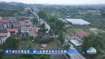 梁子湖区纪委监委：暖心监督照亮群众回家路