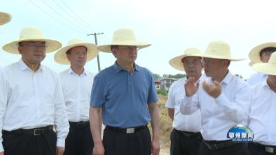 孙兵调研全域国土综合整治和文旅产业发展工作