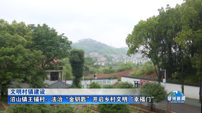 沼山镇王铺村：法治“金钥匙”开启乡村文明“幸福门”