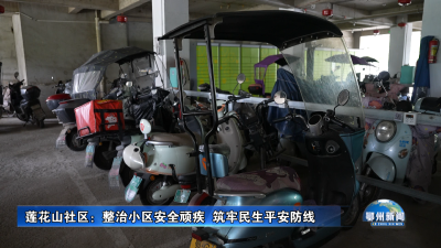 莲花山社区：整治小区安全顽疾  筑牢民生平安防线