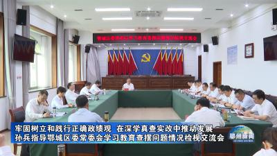 孙兵指导鄂城区委常委会学习教育查摆问题情况检视交流会