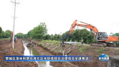 鄂城区泽林和碧石渡片区水环境综合治理项目全速推进
