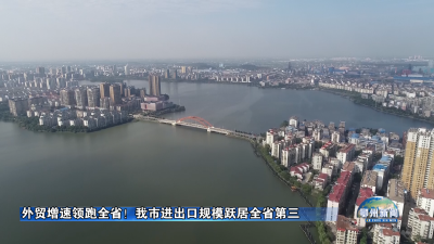 外贸增速领跑全省！我市进出口规模跃居全省第三