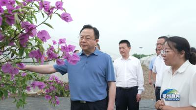 孙兵调研林长制工作时强调