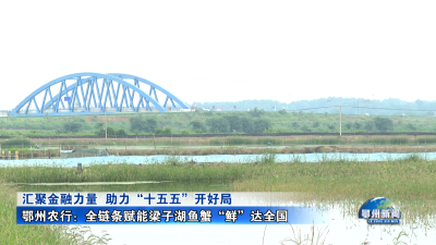 鄂州农行：全链条赋能梁子湖鱼蟹“鲜”达全国