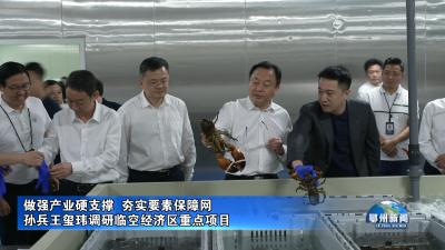 孙兵王玺玮调研临空经济区重点项目