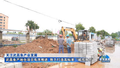 武昌鱼产地仓项目有序推进  致力打造高标准“城市渔仓”