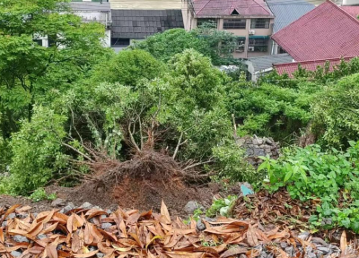 一次突发大考下的基层民生答卷