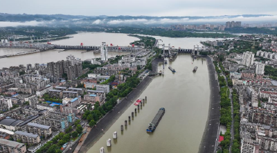 为葛洲坝航运扩能让路  宜昌江边2265棵大树“搬家”
