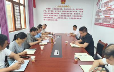 太和镇人大调研把脉集镇污水治理 推动项目提质增效