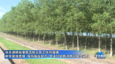 孙兵调研检查防汛防台风工作