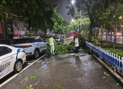 鄂州市保险业逆风而行迎战龙卷风灾害