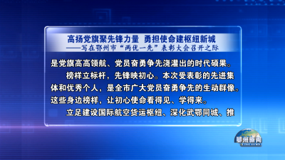 高扬党旗聚先锋力量  勇担使命建枢纽新城