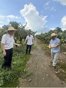 工行鄂州分行：风雨同舟送温暖　普惠金融助振兴