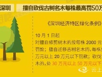 10月起，这些新规将影响你我生活