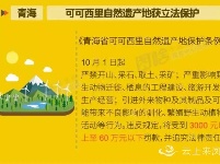 10月起，这些新规将影响你我生活