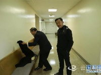 周立波被美国法院传讯 已获保释