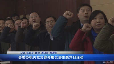 县委办公室机关党支部开展“支部主题党日”活动