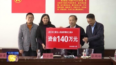 江夏区为三胡捐赠对口帮扶资金140万元