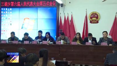 三胡乡召开第六届人民代表大会第五次会议