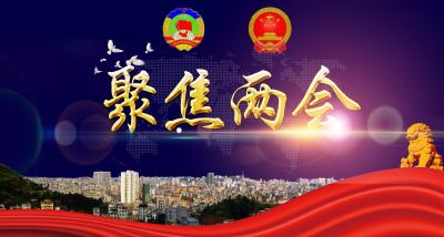 【聚焦两会】中国人民政治协商会议来凤县第九届委员会  第三次全体会议政治决议