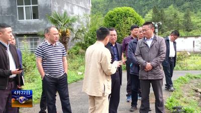 县委书记邢祖训到三胡乡调研产业发展等工作 