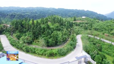  邢祖训强调：凝心聚力 真抓实干 推动生态文明建设取得新突破  