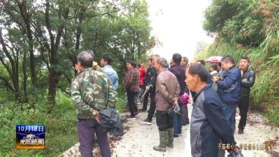 三胡乡：开展技能培训 打破杨梅“靠天收”  