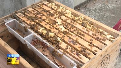 邢祖训暗访督查脱贫攻坚工作  