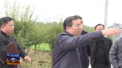 邢祖训到翔凤镇开展软弱涣散村党组织专项整治工作回头看 