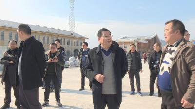邢祖训调研督办G353公路、火车站站前广场工程建设