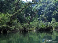 董家河，大自然最灵动的“盆景”