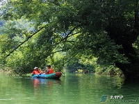 董家河，大自然最灵动的“盆景”