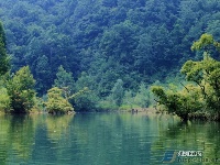 董家河，大自然最灵动的“盆景”