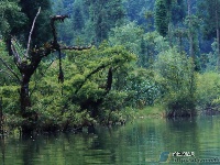 董家河，大自然最灵动的“盆景”