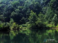 董家河，大自然最灵动的“盆景”