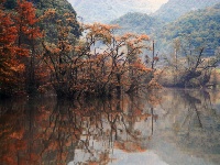 董家河，大自然最灵动的“盆景”