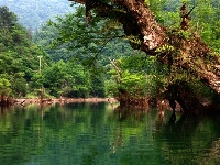 董家河，大自然最灵动的“盆景”