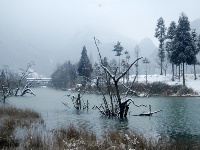 董家河，大自然最灵动的“盆景”