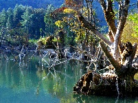 董家河，大自然最灵动的“盆景”