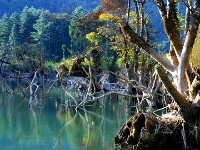 董家河，大自然最灵动的“盆景”