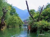 董家河，大自然最灵动的“盆景”